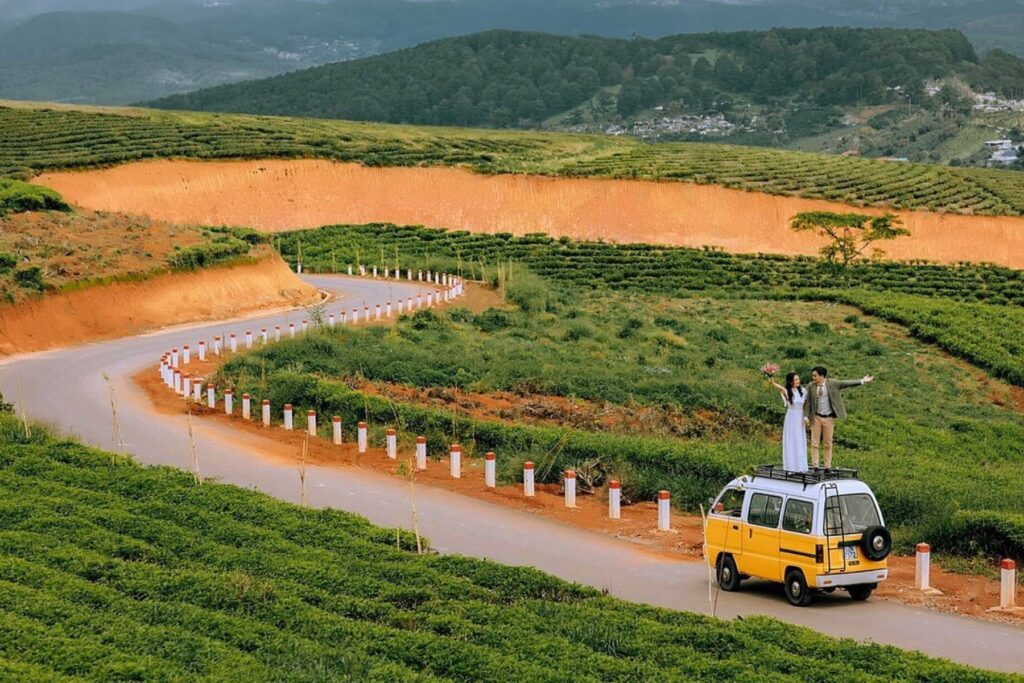 Road through coffee plantations on hills