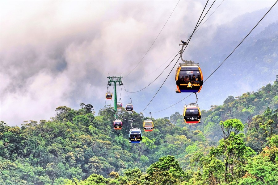 Cable car cabins over the forest with Robin Hill logo