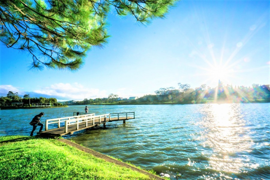 Perfect view of the lake with a white pier and pine branches